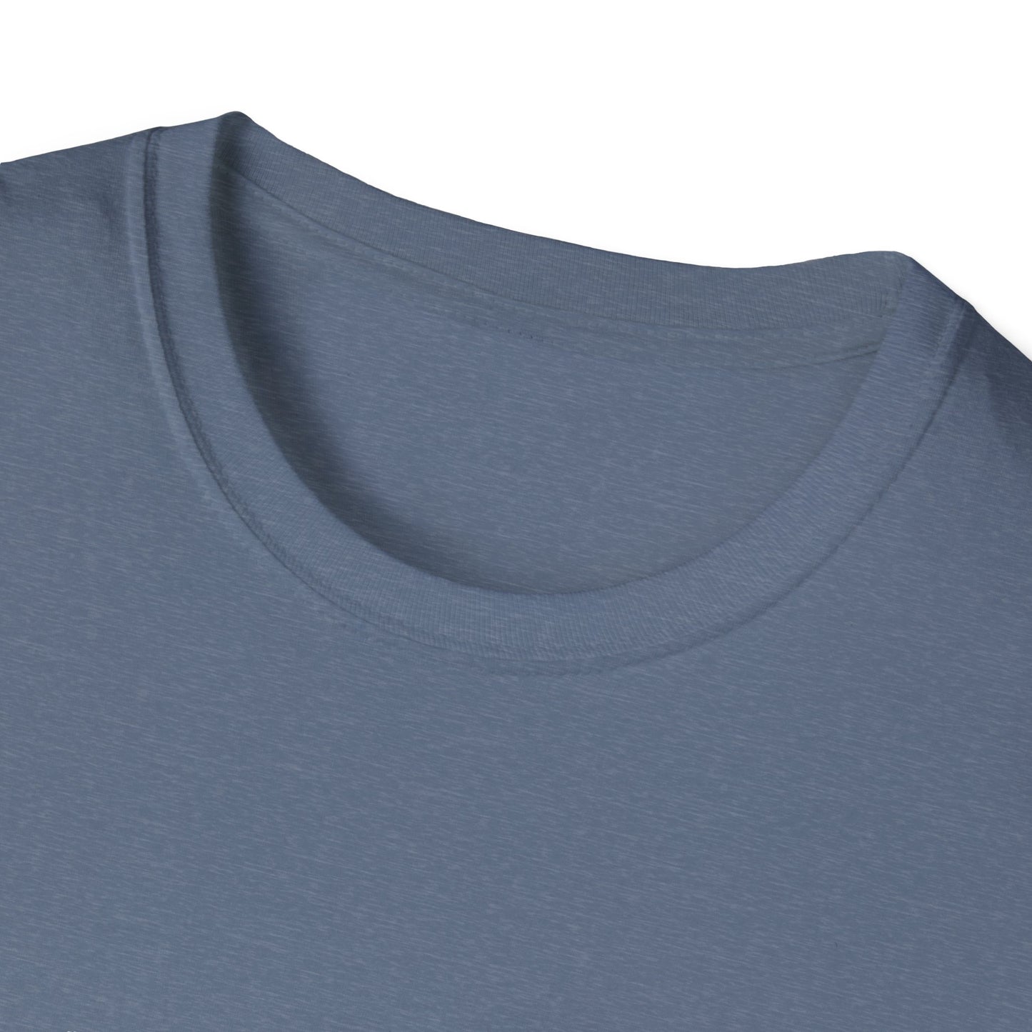No Pian, No Gain Unisex Softstyle T-Shirt