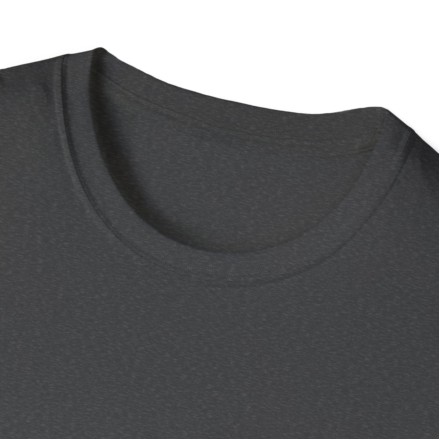 No Pian, No Gain Unisex Softstyle T-Shirt